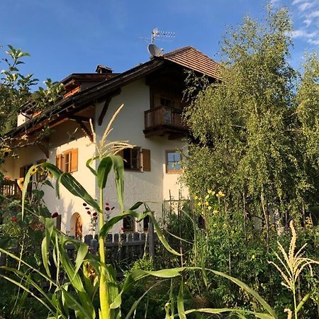 Birbamergut Longostagno Zewnętrze zdjęcie